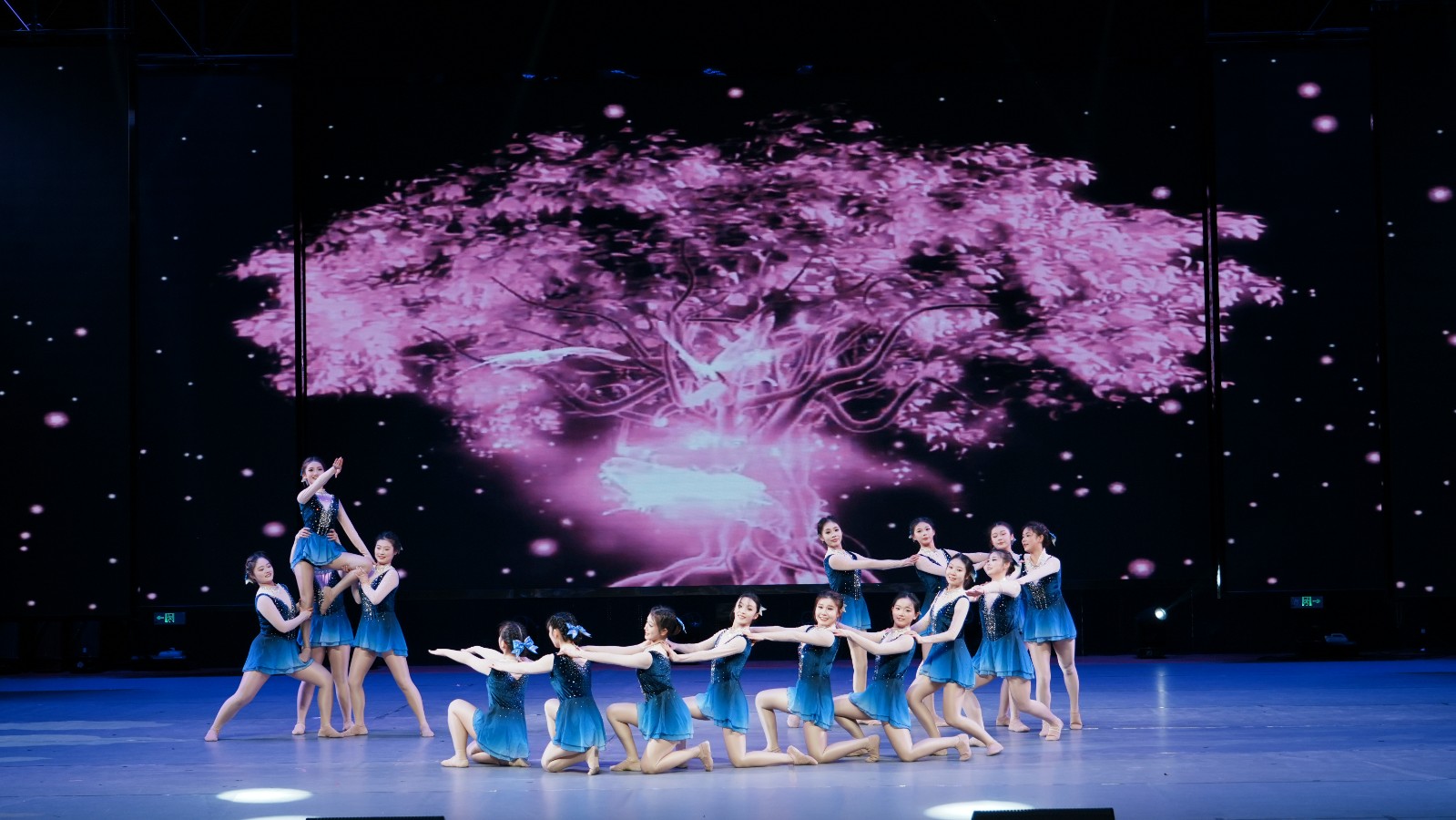 1766563726974319.jpg 1766563726974319.jpg