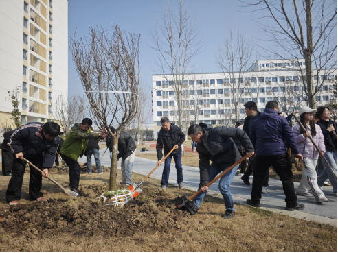 1773361387229809.png image.png